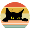 Retro Katze