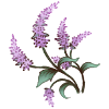 Flower 1