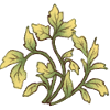 Leafy Plant 4