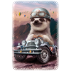 SLOTH IN RACING CAR