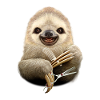 SLOTH BARBER
