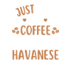 Havanese Coffee Dog Cafe