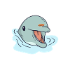 Dolphin Superpower Dolphin Trainer
