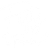 Fifty fabulous