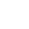 Fechten Evolution
