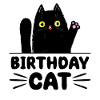 Birthday Cat Lover Funny Kitty