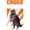 Cookie Waschbär Tier Humor