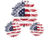Tournesol 4 juillet Drapeau américain