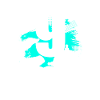 Pirate 9 ans
