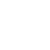 Storm Chaser