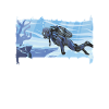 Imagine A Life Without Diving