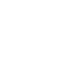 Vegvisir Rune