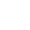 Vegvisir Rune