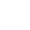 Vegvisir Rune