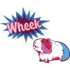 wheek,guinea pig,pink,blue