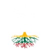 Lithuania Lithuanian roots
