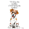 jack russel agility