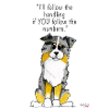 australian shepherd agility