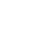 Course Camarguaise