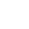 Agility Dog Course