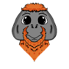 Monkey Urangutan