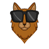 Somali cat with sunglasses