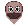 Ornithorynque