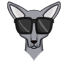 Sphynx cat with sunglasses