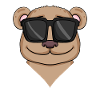 Cool brown bear with sunglasses