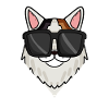 Turkish Van Cat with Sunglasses