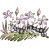 Fourmis