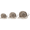 Snails