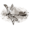 Libellule