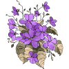 Fleur