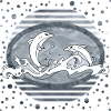 Dolphins