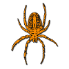 Spider crawling, arachnophobia