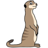 Meerkat Lover Gift Funny Animals