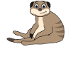 Meerkat Lover Gift Funny Animals