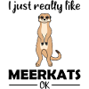 Meerkat Lover Funny Saying Gift