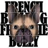 French Bulldog Frenchie Bully R6Z