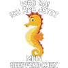Seepferdchen Spruch Abzeichen Kinder Geschenk