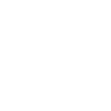 Roller Coaster Legend