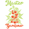 Tomate