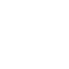 Roller Coaster Safety Inspector
