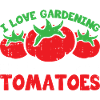 Tomate