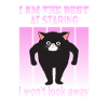 Staring Cat - Cats Staring