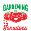 Tomate
