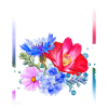 Mind your own uterus