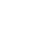 Adrenaline Junkie Roller Coaster