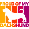 Proud of my dachshund